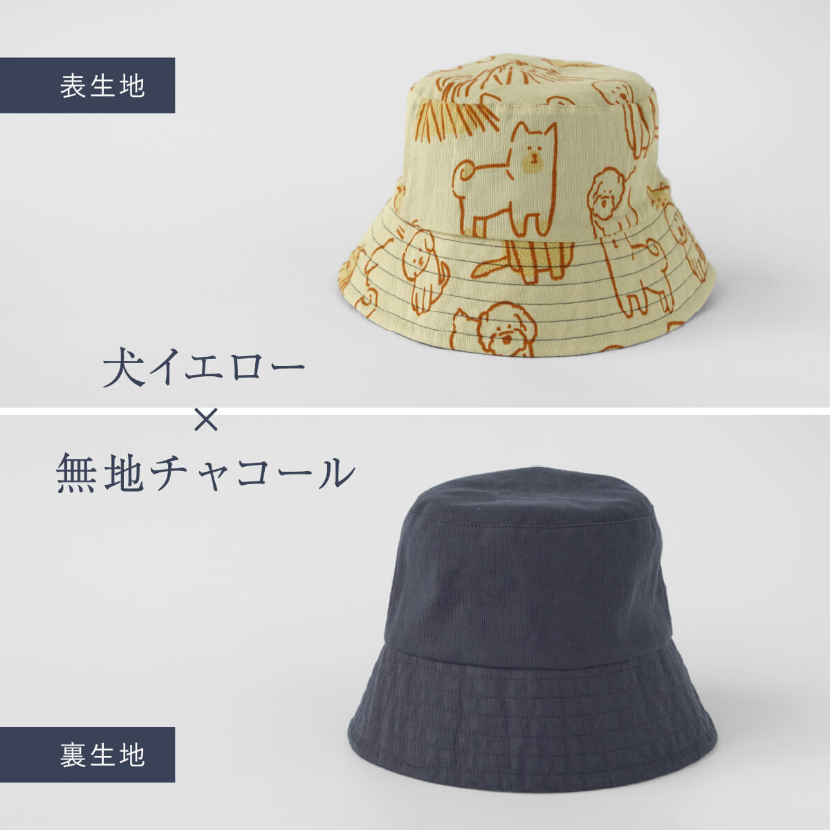 選べるギフト】涼綿 リバーシブルバケットハット | DAIGO official shop